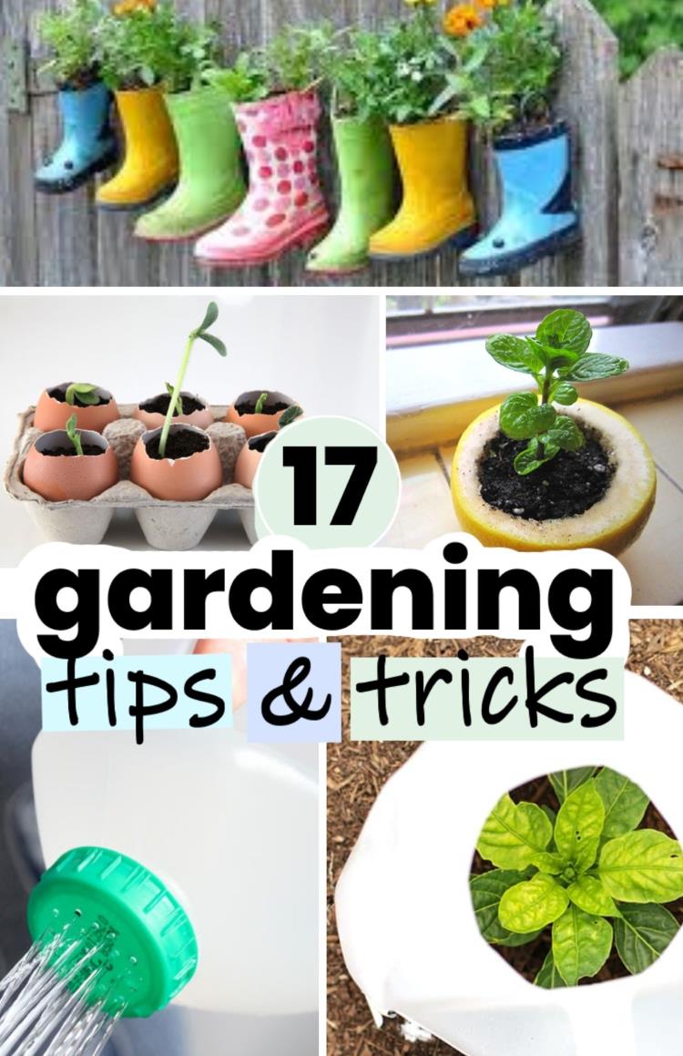 17 GENIUS Gardening Tips