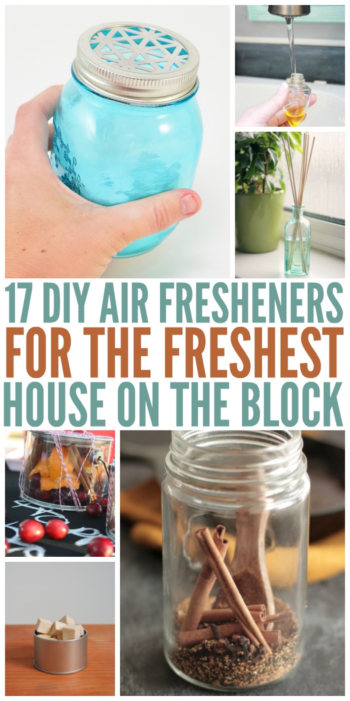 17 DIY Air Fresheners for the Freshest