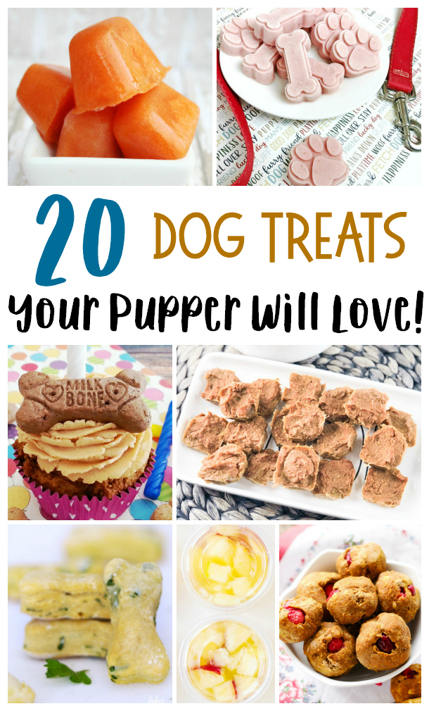 20 Made From Scratch Dog Treats Your Pup Will Love!