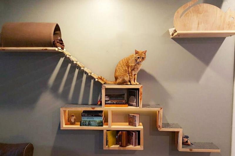 Easy Diy Cat Tower Deals 55 Off Visitmontanejos Com - How To Make A Diy Cat Tower