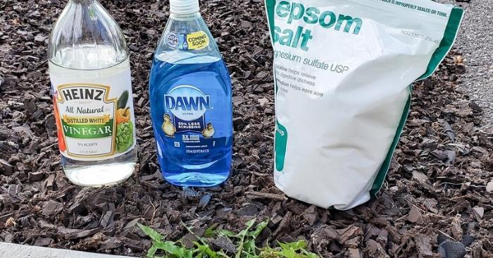 17 Genius Uses for Dawn Dish Soap Every Mom Needs