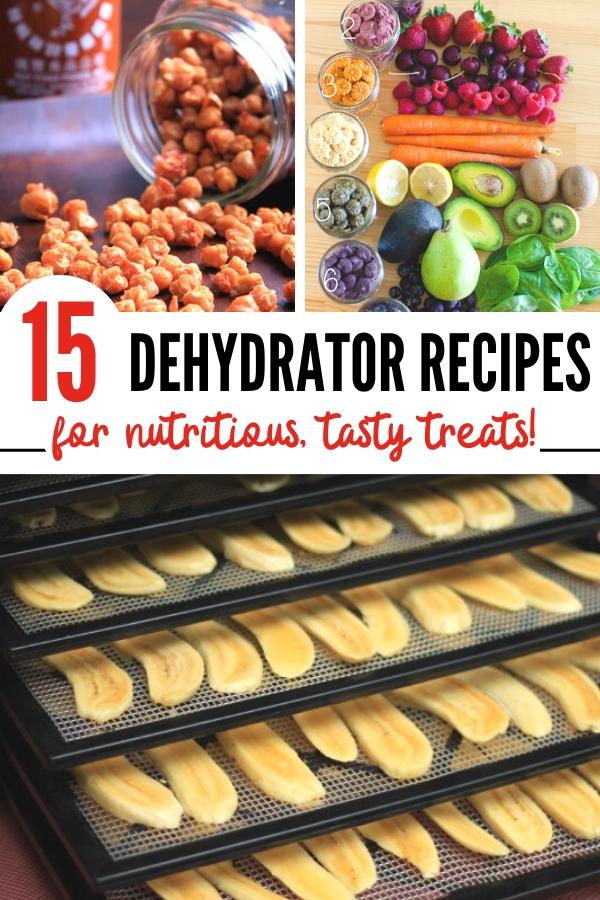dried fruit and other dehydrator recipes Pin image B