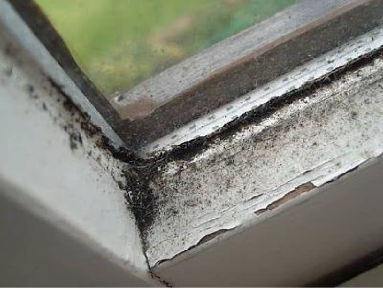 Dirty and moldy window sills