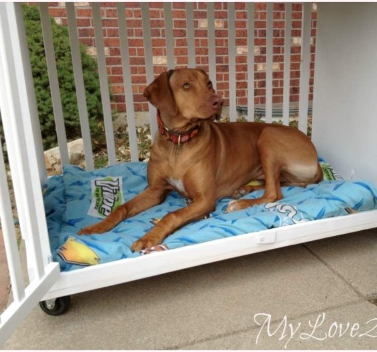 Picture of dog in a DIY dog crate made from an old crib