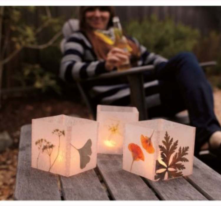 Picture of Wax Paper Luminaries