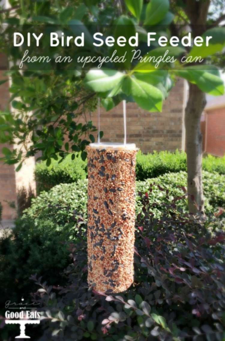 Pringles can repurposed as a bird feeder with seeds on the outside hanging from tree by strings