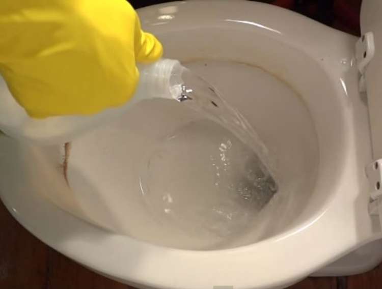 Open toilet with a gloved hand pouring out vinegar from a gallon sized container