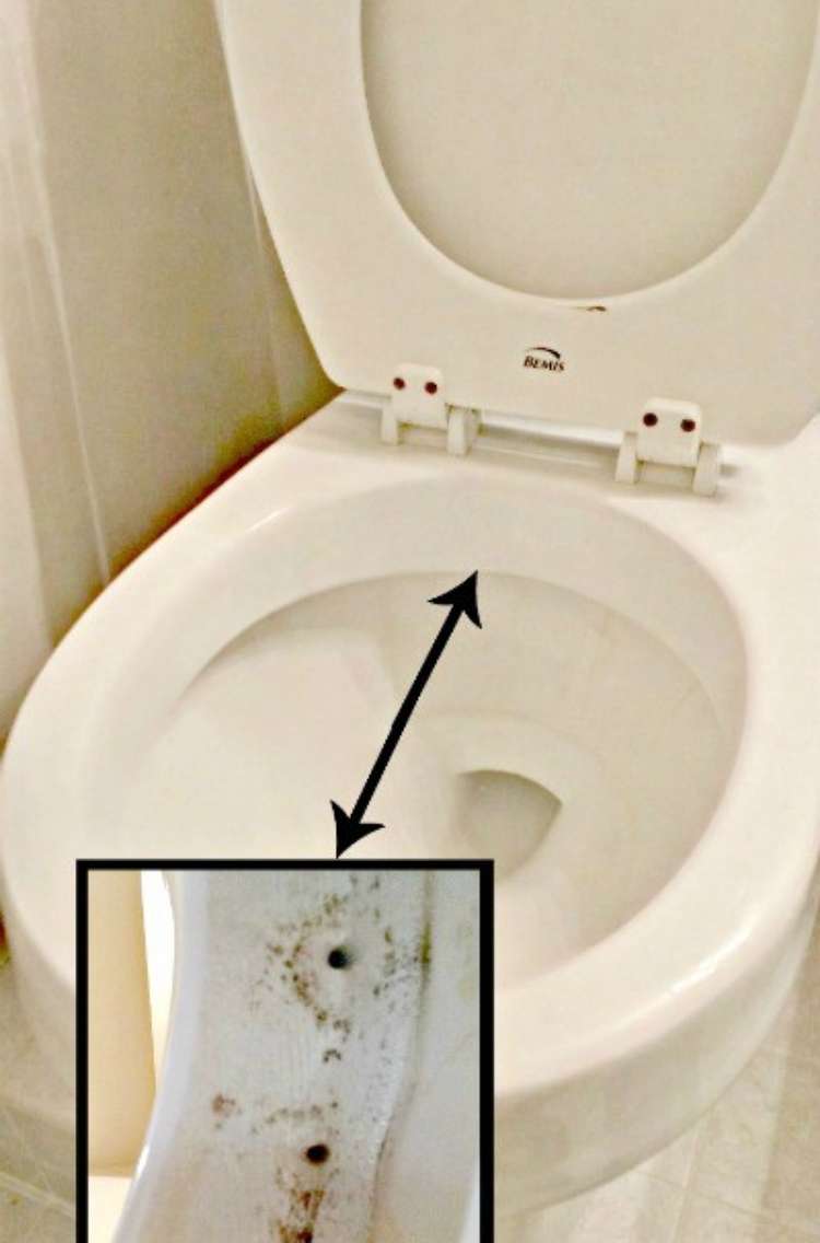 Open toilet seat with a zoomed in shot of the dirty jets that are under the rim with 
