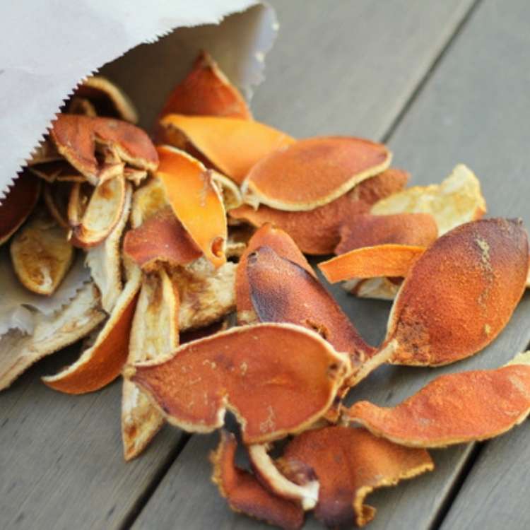 Orange Peel Uses - Dried orange peels for kindling pouring out of brown paper bag