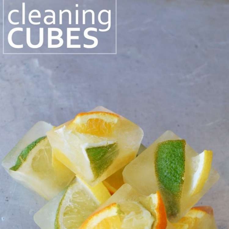 orange peel uses - frozen cubes of citrus garbage disposal cleaner 