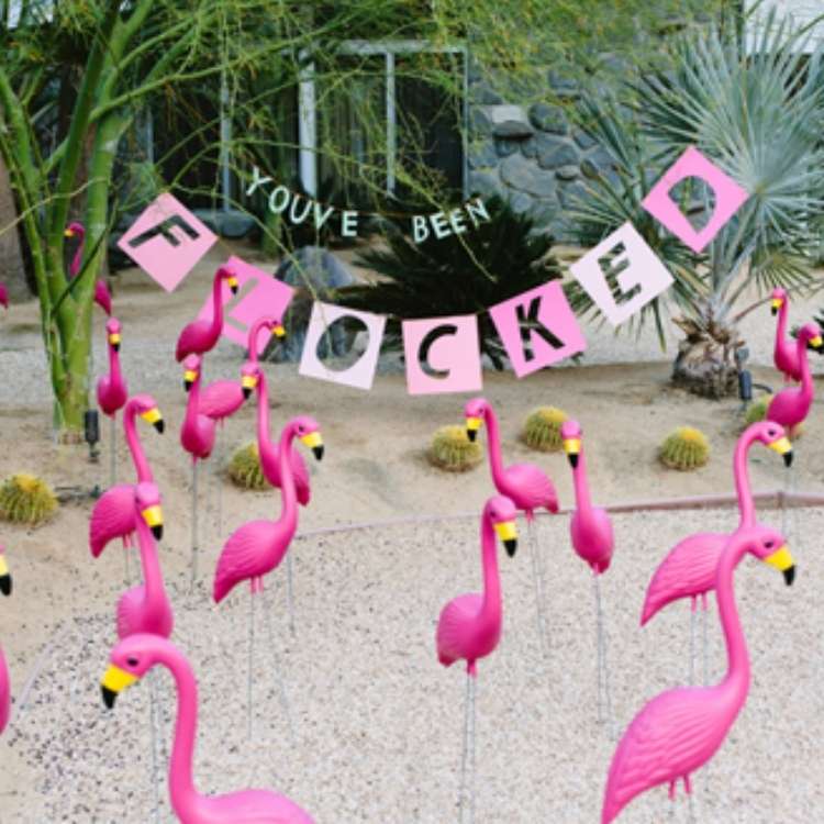 April fool's day prank, a flock of pink plastic flamingos in a front yard with a sign saying you've been flocked