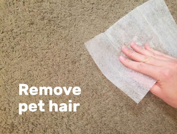 Dryer sheet: Hand wiping dryer sheet across carpet to pick up pet hair 