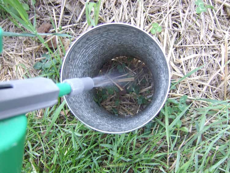 Nozzle of garden spray can spraying into a DIY spray collar