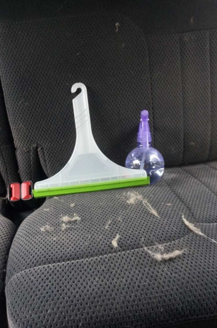 squeegee and water bottle: to clean pet hair- sitting on the backseat of a car 