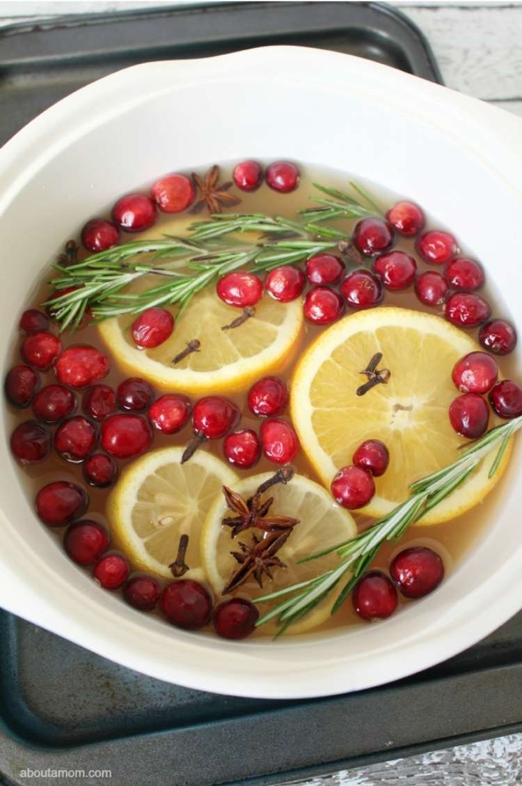 berries, lemon slices in pot of water