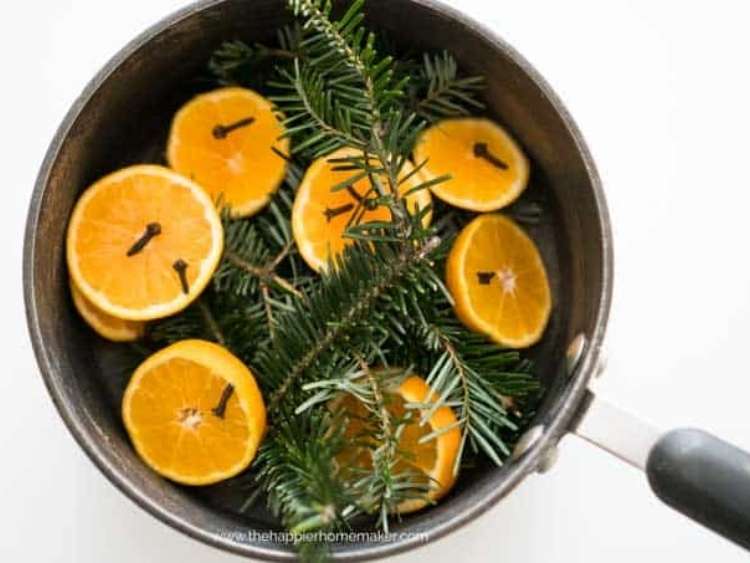 evergreen branches, orange slices in pot