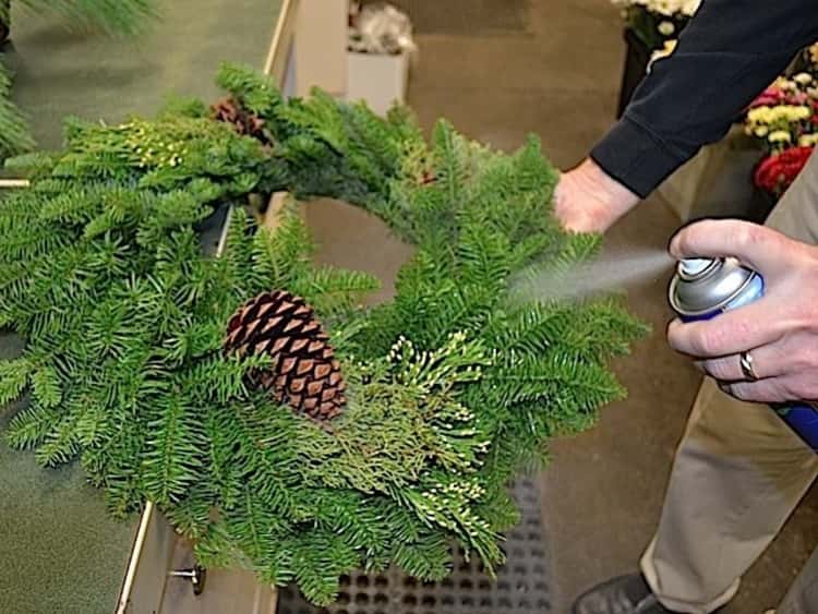 Preserving Christmas wreaths using hairspray hack
