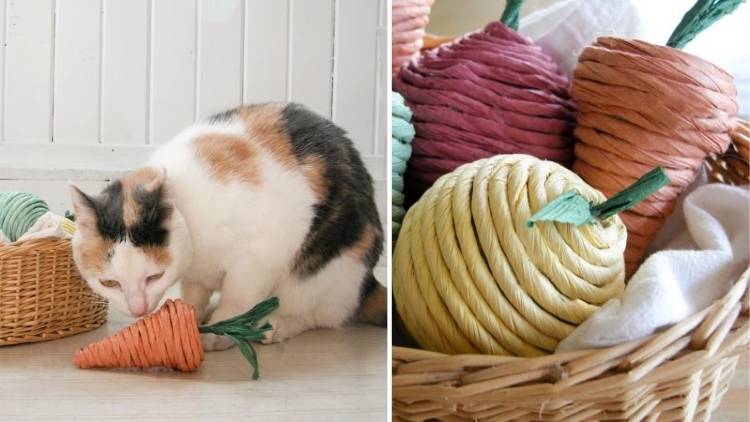15 Easy DIY Cat Toys You Can Make Today