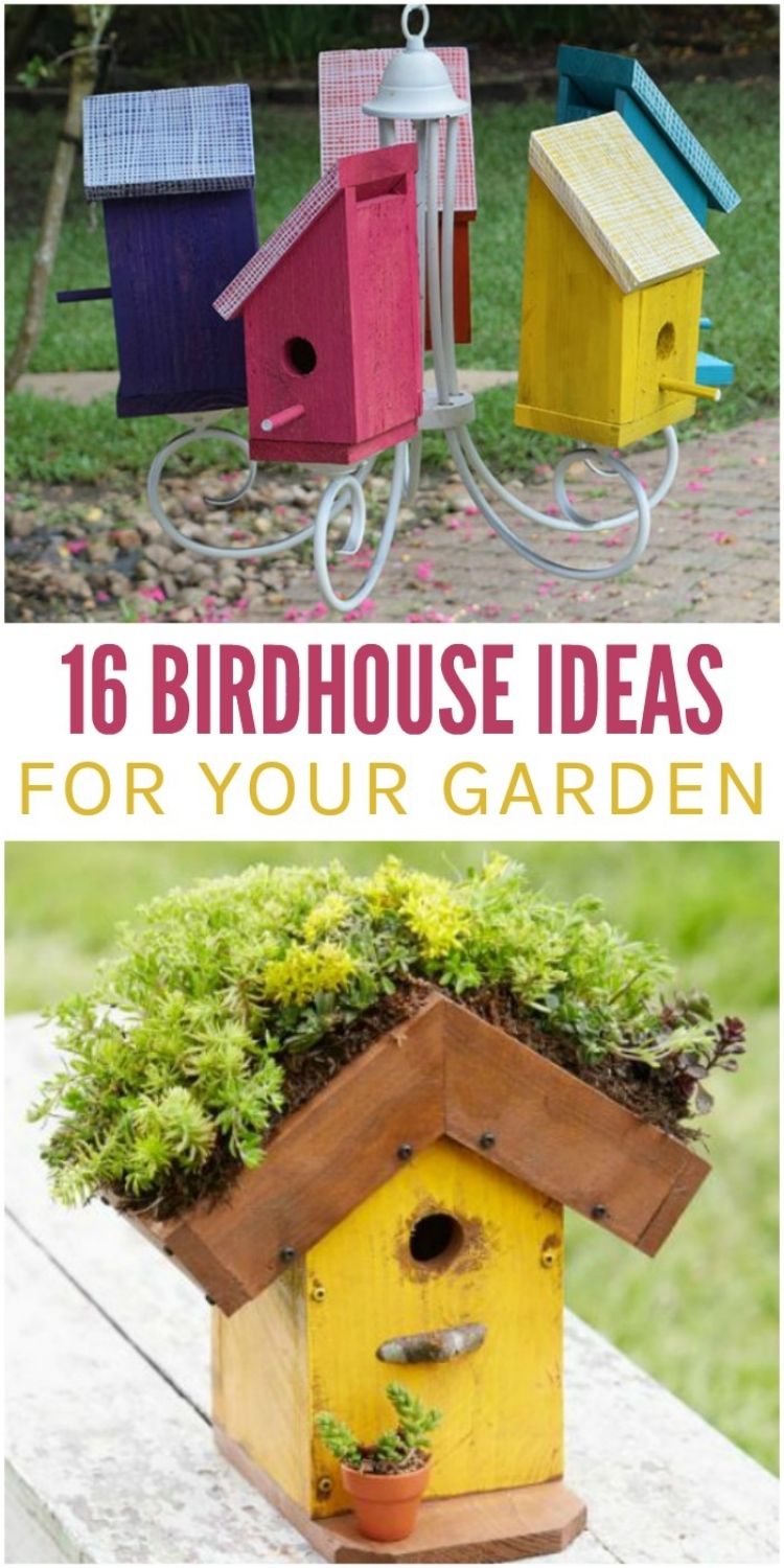 Bird house chandelier and living roofed birdhouse