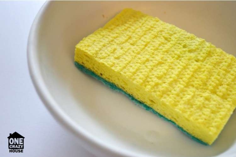 OneCrazyHouse things to throw away Sponge in a Bowl