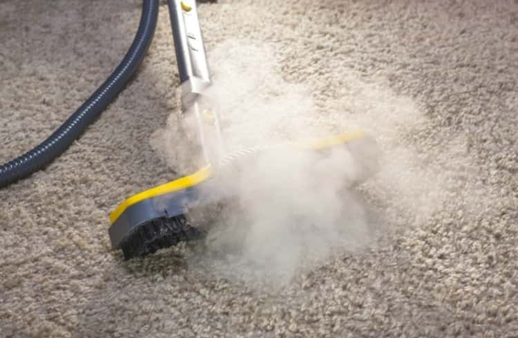 Steam-clean your carpets to sanitize them