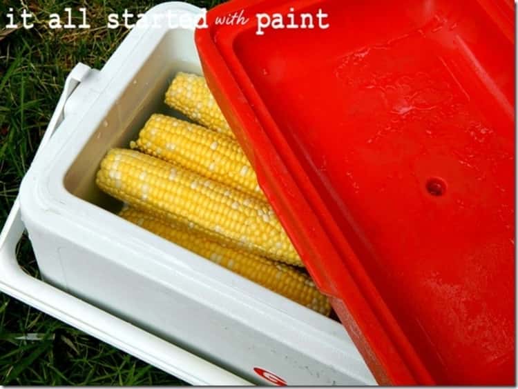 A photo of corn in a cooler