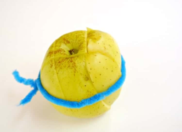 a sliced apple tied with a pipe cleaner to keep the slices from browning
