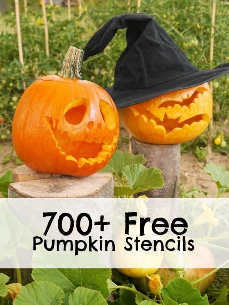 2 carved out pumpkins set out in the garden with flyer for 700+ Free pumpkin stencils 