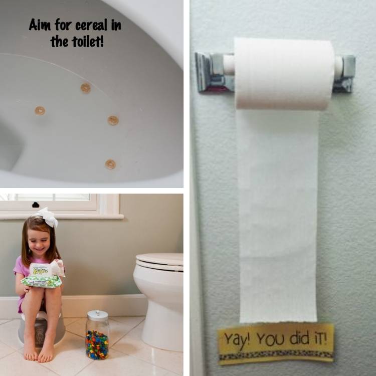 3 potty training tips - cheerios in toilet, reward and toilet paper guide