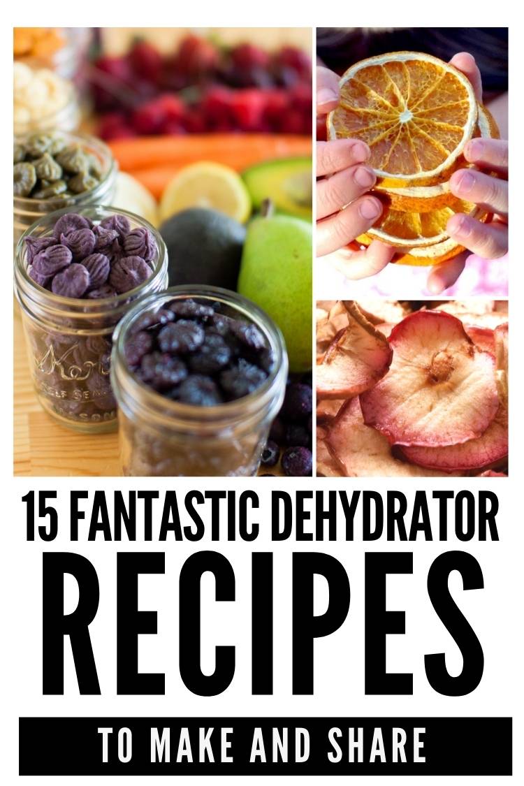 easy food dehydrator recipes you'll want to make